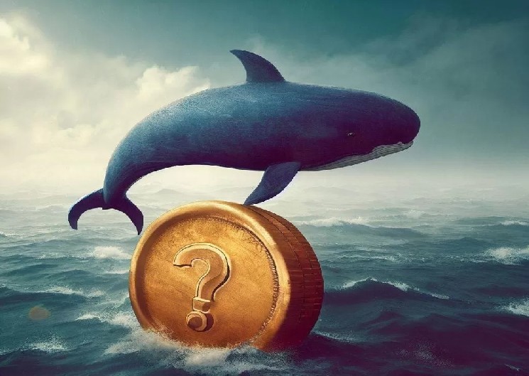 Giant Whales Get Active in the First Days of the Year! One Whale Burns the Ships: Abandoned Ethereum and Invested in This Altcoin!