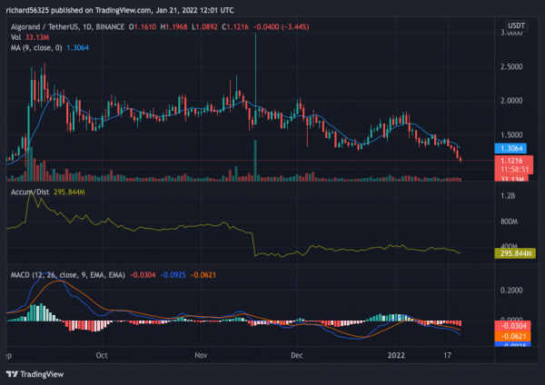 43aa190240a59c6e2b816a04d1d7df1c Algorand Price Prediction 2022-2030