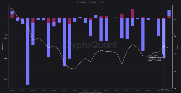9d188575cb30351fcbf2dcd573c02e99 4 Charts Explain Bitcoin’s Price Condition Heading into Christmas 2025
